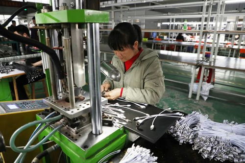 小小的数据线,让他们实现了家门口就业